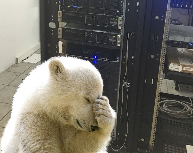 deli-abdal-hikaye-blog-küresel