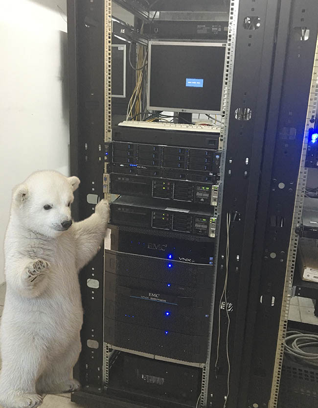 deli-abdal-hikaye-blog-küresel