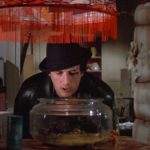 deli abdal hikaye blog rocky emek